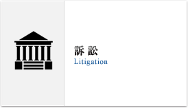 訴訟(Litigation) 